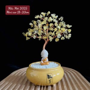 Cây tài lộc Mini